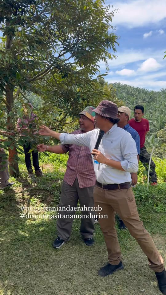 Mengatasi Penyakit Hawa Daun dan Jadual Berbunga Durian
