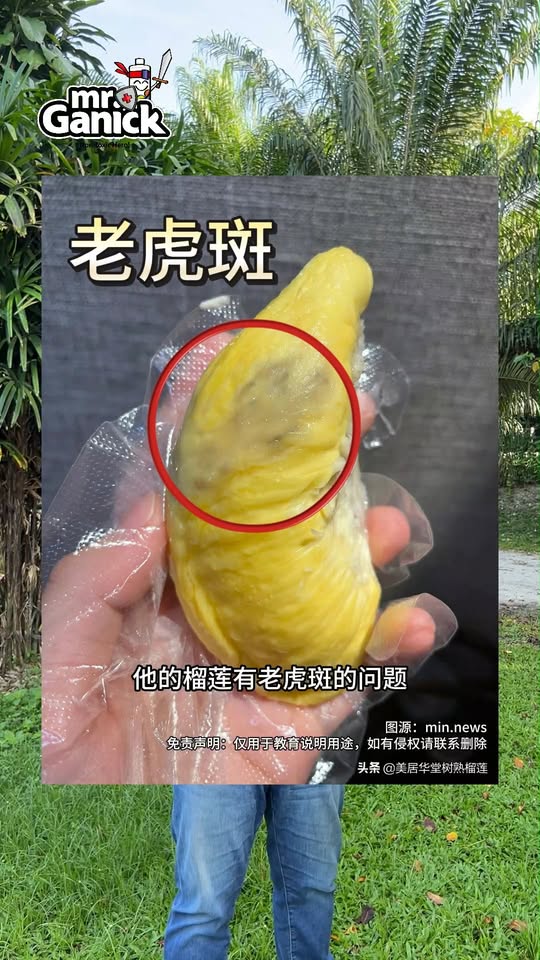 榴莲老虎斑问题 - 成因与有机防治方法