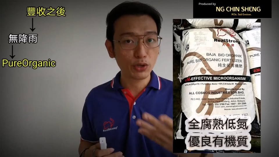 雨季榴蓮黑頭病防治 - 三分鐘農補湯