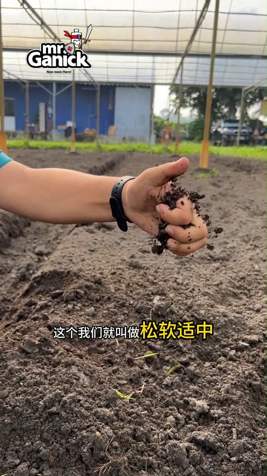 什么是健康土壤？土壤健康的三大要求