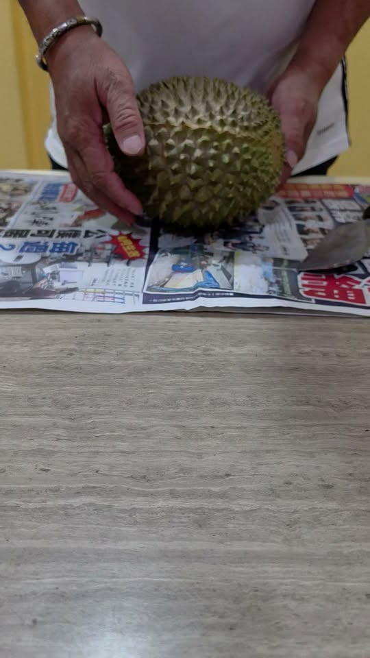 品尝割果榴莲part 1