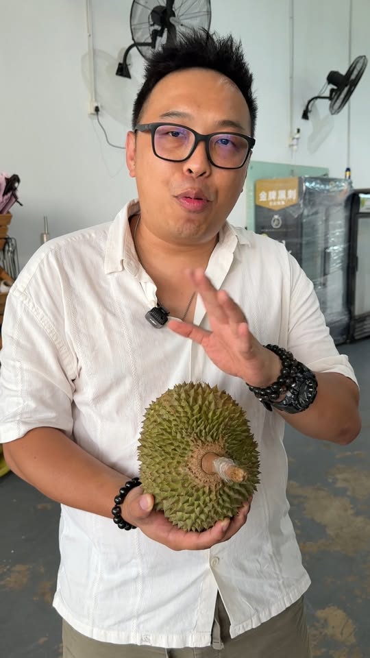 来看看邻国榴莲行业，🇹🇭🇻🇳🇰🇭🇮🇩
如果其他国家的榴莲转去树熟我们的优势又是什么？
是什么原因导致榴莲价格下滑？
园主的心酸，园主的痛苦谁能帮忙发声？
把榴莲割下来 VS 自然脱落
#马来西亚 #榴莲 #割果 #黑刺