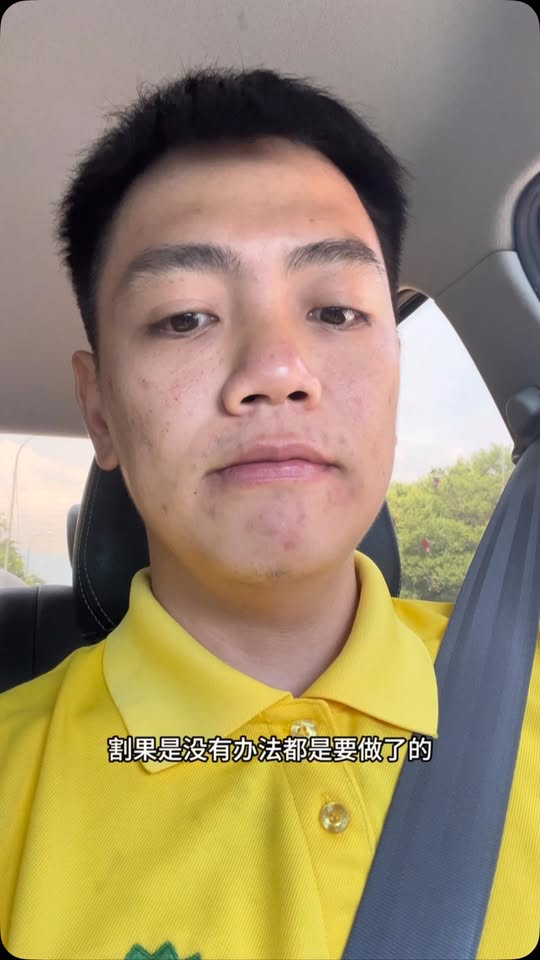 蹭下流量
割果，还是自然成熟？