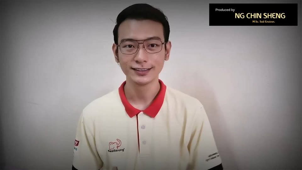 Cara Mencegah Penyakit Daun Kuning Pisang - Fusarium