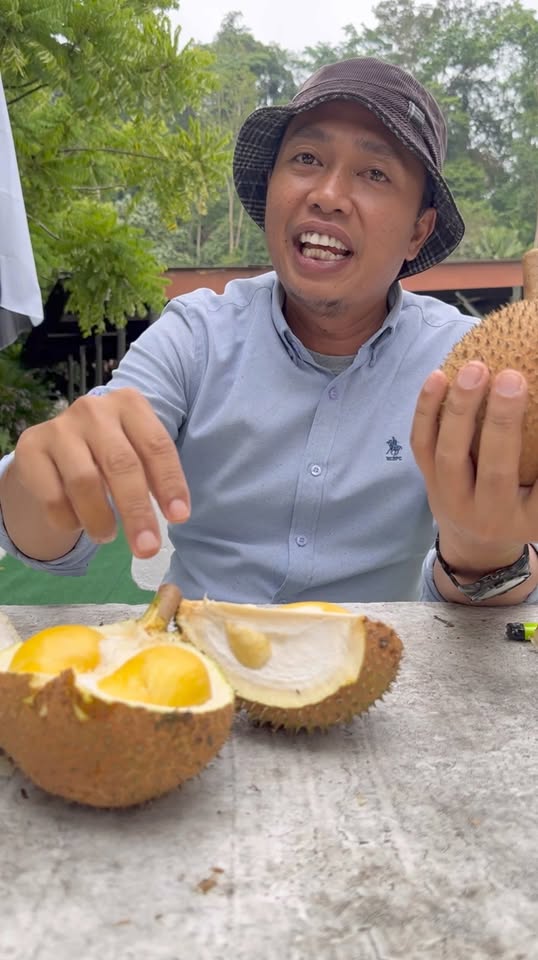 Review Durian Mas 10 - Varieti Rare dari Merapuh, Pahang