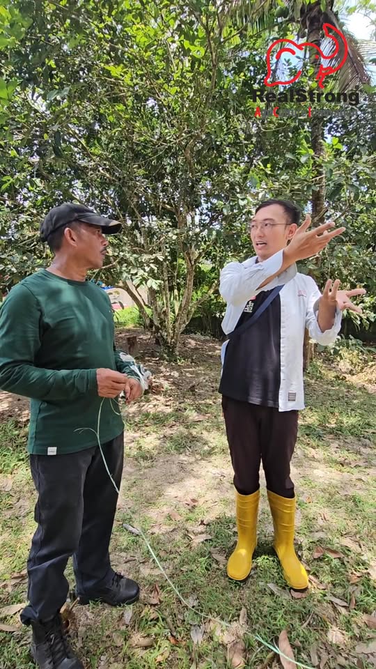 Penggunaan Dolomit Selepas Musim Berbuah Durian