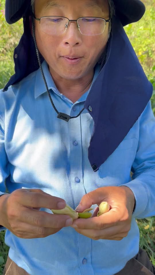 Nektar Bunga Durian - Penarik Haiwan Pendebungaan