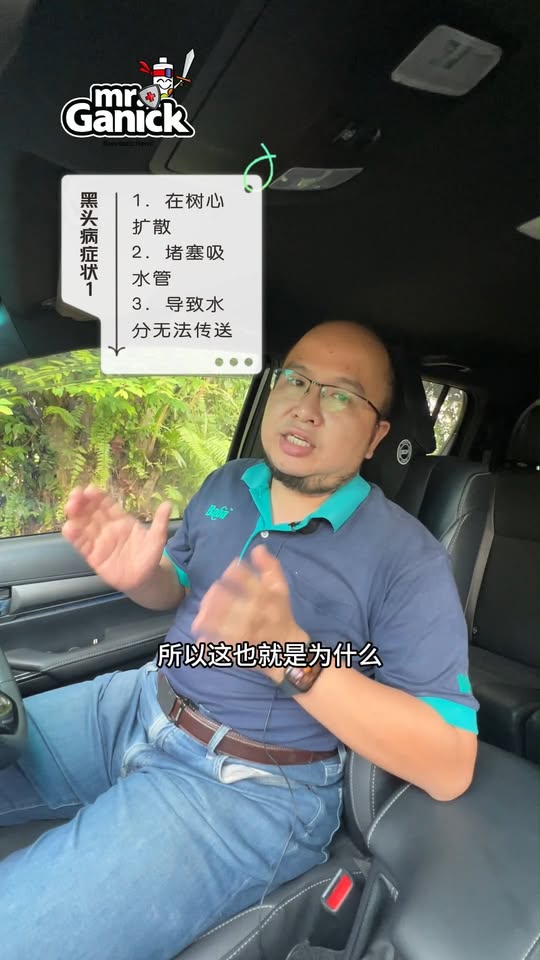 榴莲黑头病成因及根治方法 - 科学解析病原行为