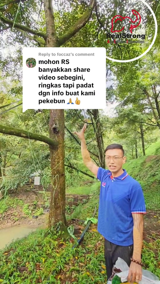 Cara Baja Organik Durian Lepas Musim - Tips Praktis