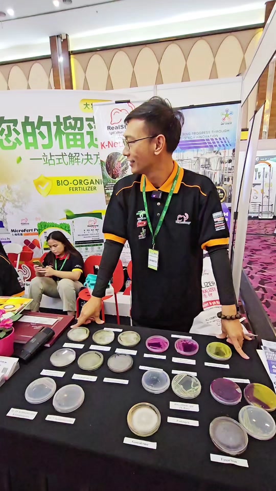 Trichoderma vs Bacillus - Rawatan Penyakit Akar Durian