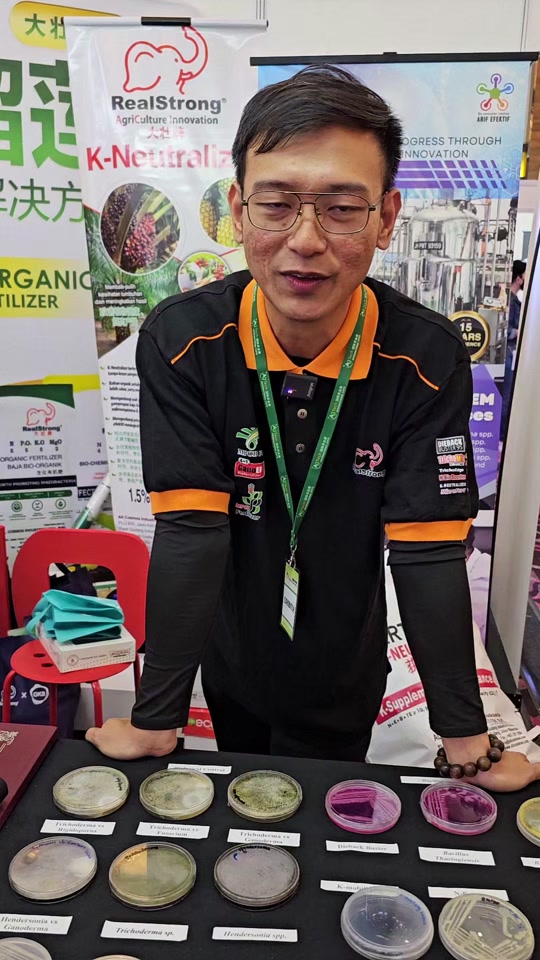 Fungsi Bacillus dalam PGPR untuk Tanaman Jangka Pendek