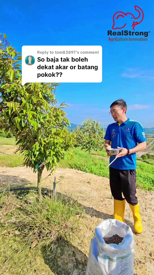 Teknik Pembajaan Durian Mengikut Jenis Tanah