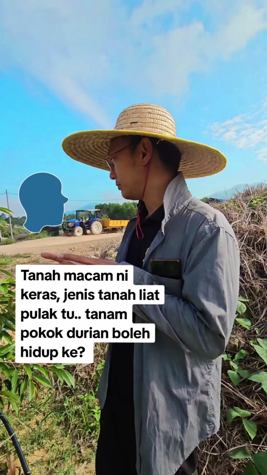 Rawatan Tanah Clay untuk Pokok Durian - Penggunaan Microford