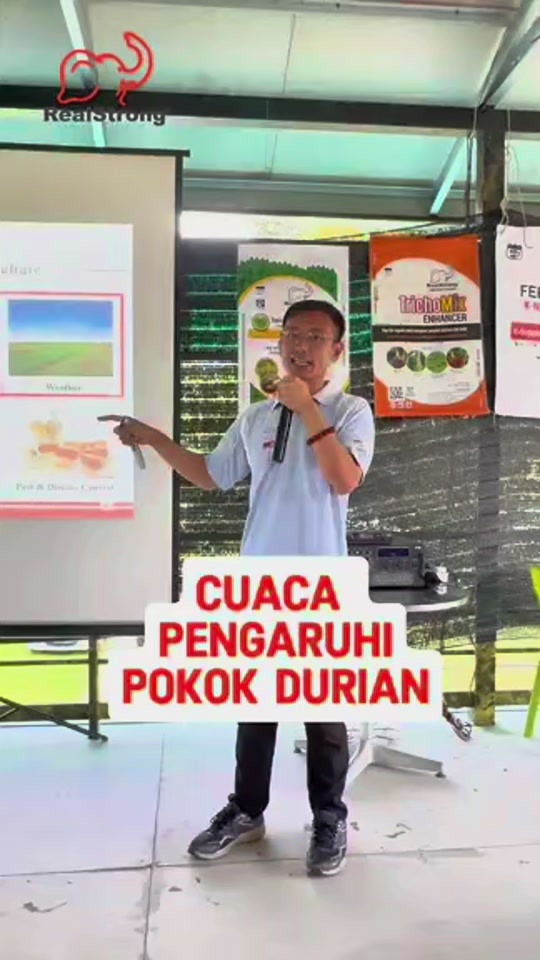 Cuaca Ekstrim & Timing Paksa Berbunga Durian
