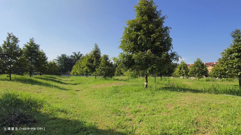 Pengurusan Air & Kawalan Perosak Musim Panas