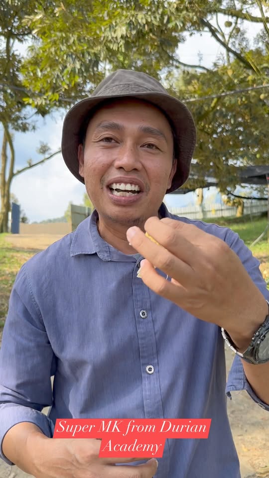 Ciri-ciri Kualiti Durian - Rasa dan Tekstur